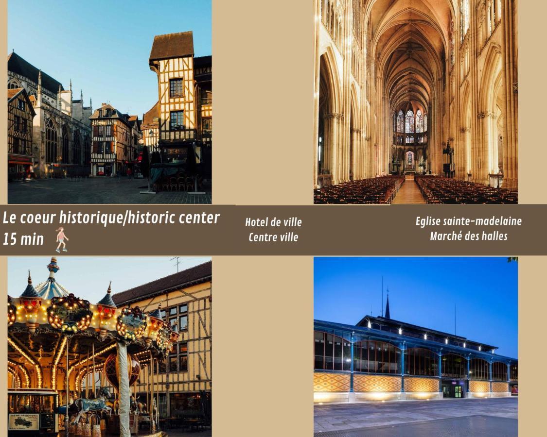 Mona Lisa : Superbe Loft Centre Ville - Parking Gratuit - Wifi Ultra Rapide-Appareil Massage-Netflix-Jeu Societe 特鲁瓦 外观 照片